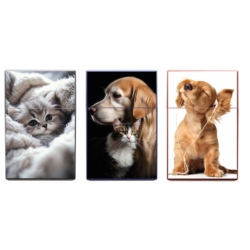 Boite étui paquet 20 cig 85mm plastique décors Chiens/Chats 12/240