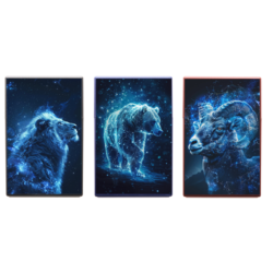 Boite étui paquet 20 cig 85mm plastique décors Constellations 12/240